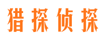 荣县市调查公司